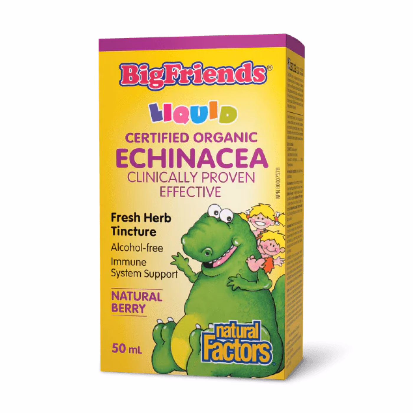 Natural Factors BigFriends Echinacea Alcohol-Free Fresh Herb Tincture for Kids, 50 мл