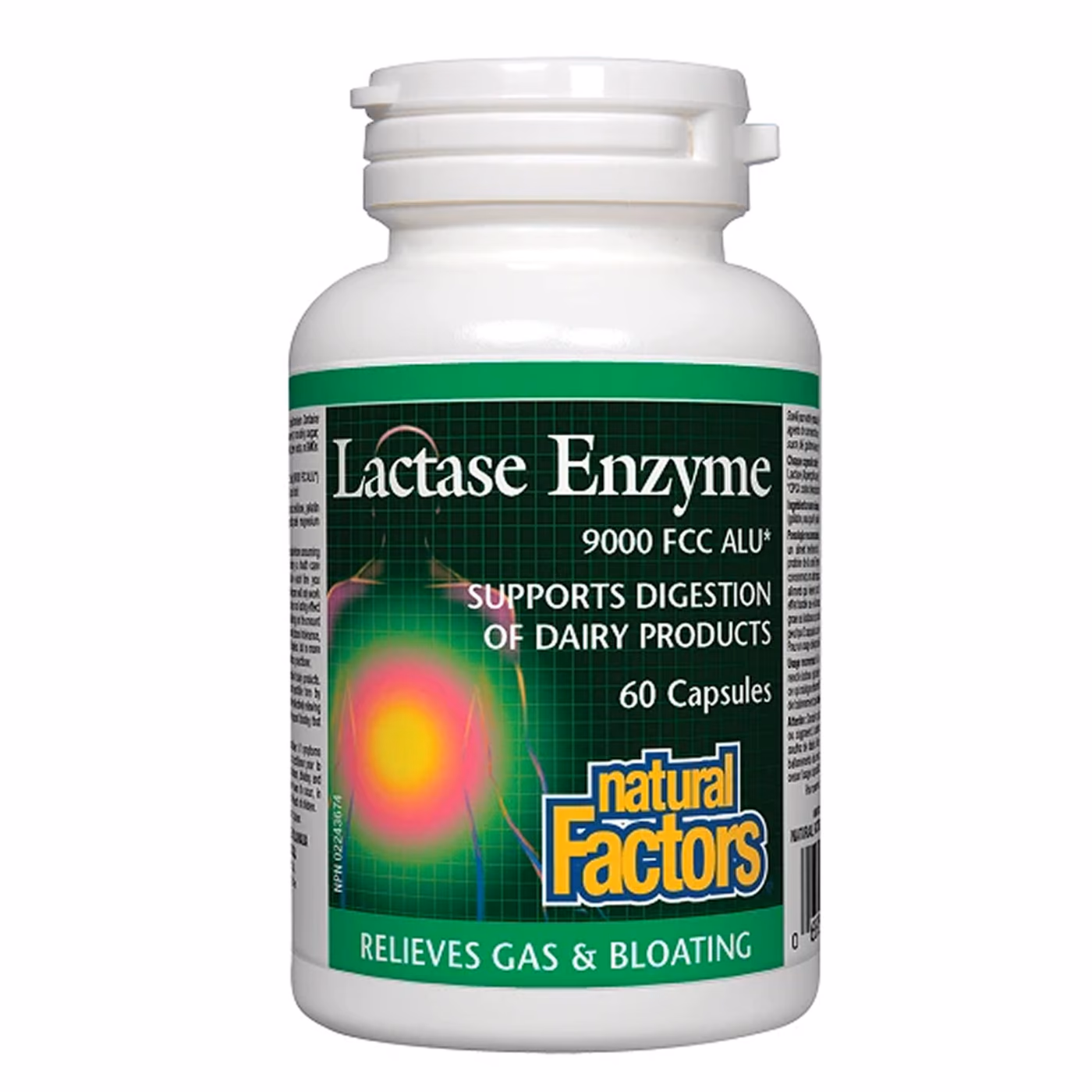 Lactase Enzyme - 60 caps