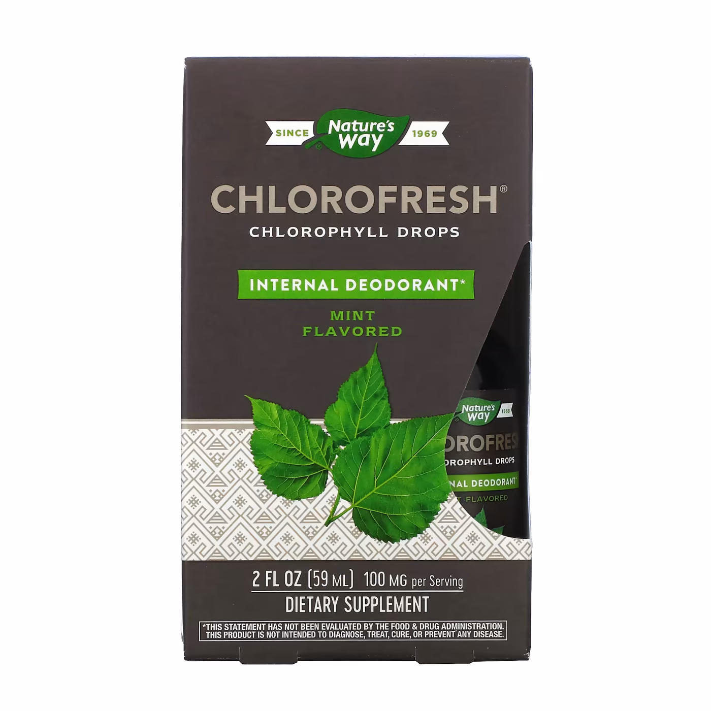 Nature's Way Chlorofresh® Mint 40X Liquid, 59 мл