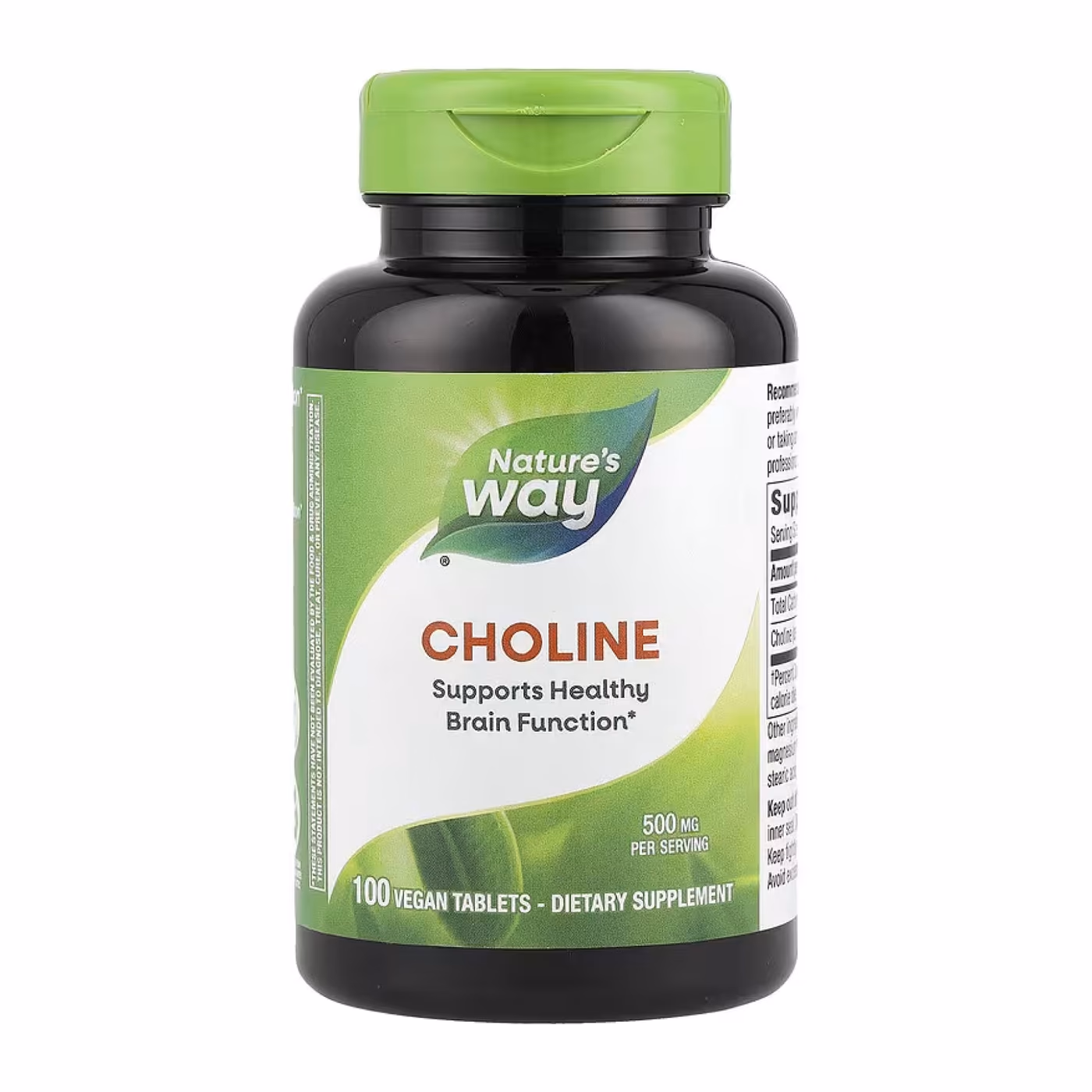 Choline 500 mg - 100 tabs