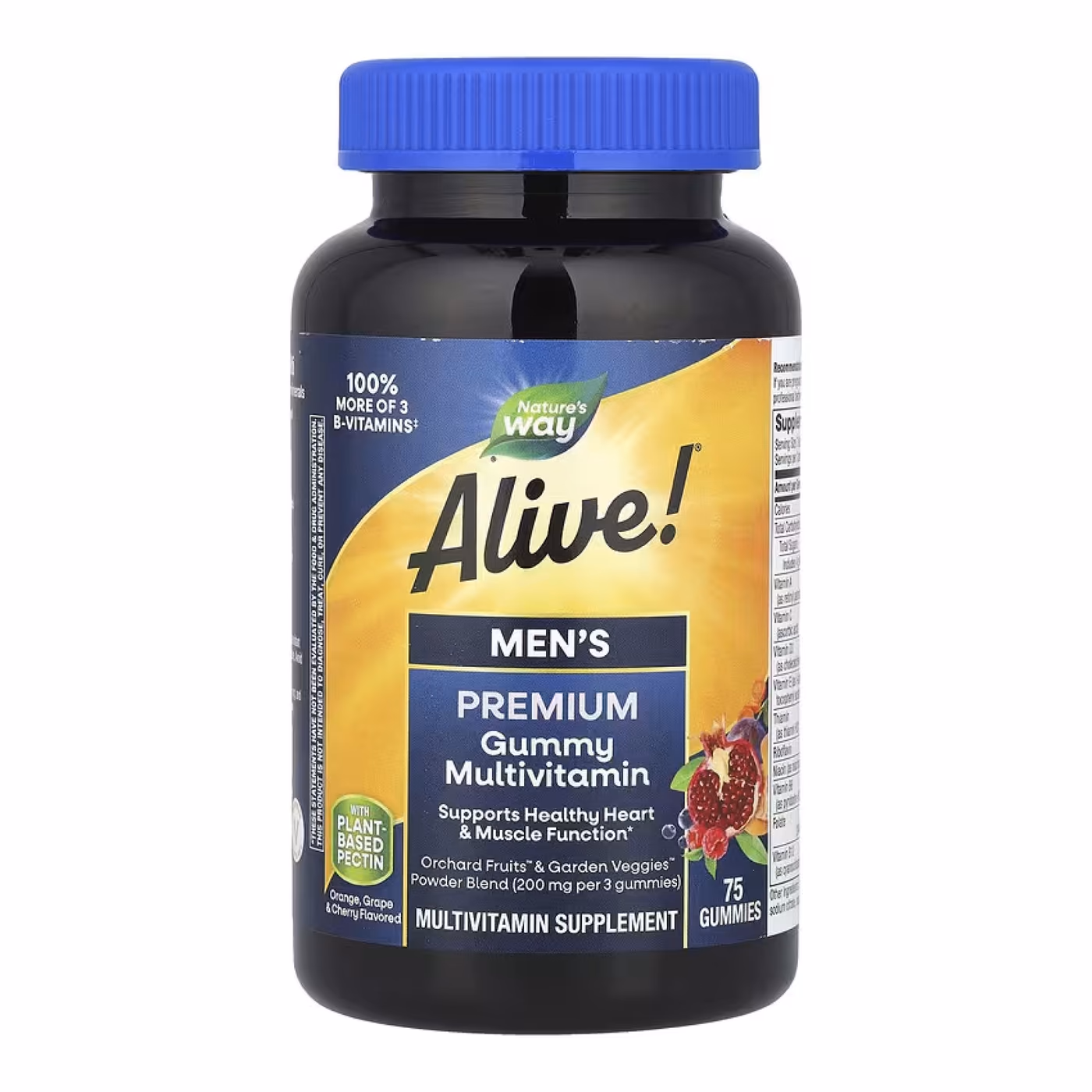 Nature's Way Alive! Men's Premium Gummy Multivitamin, 75 жевательных пастилок