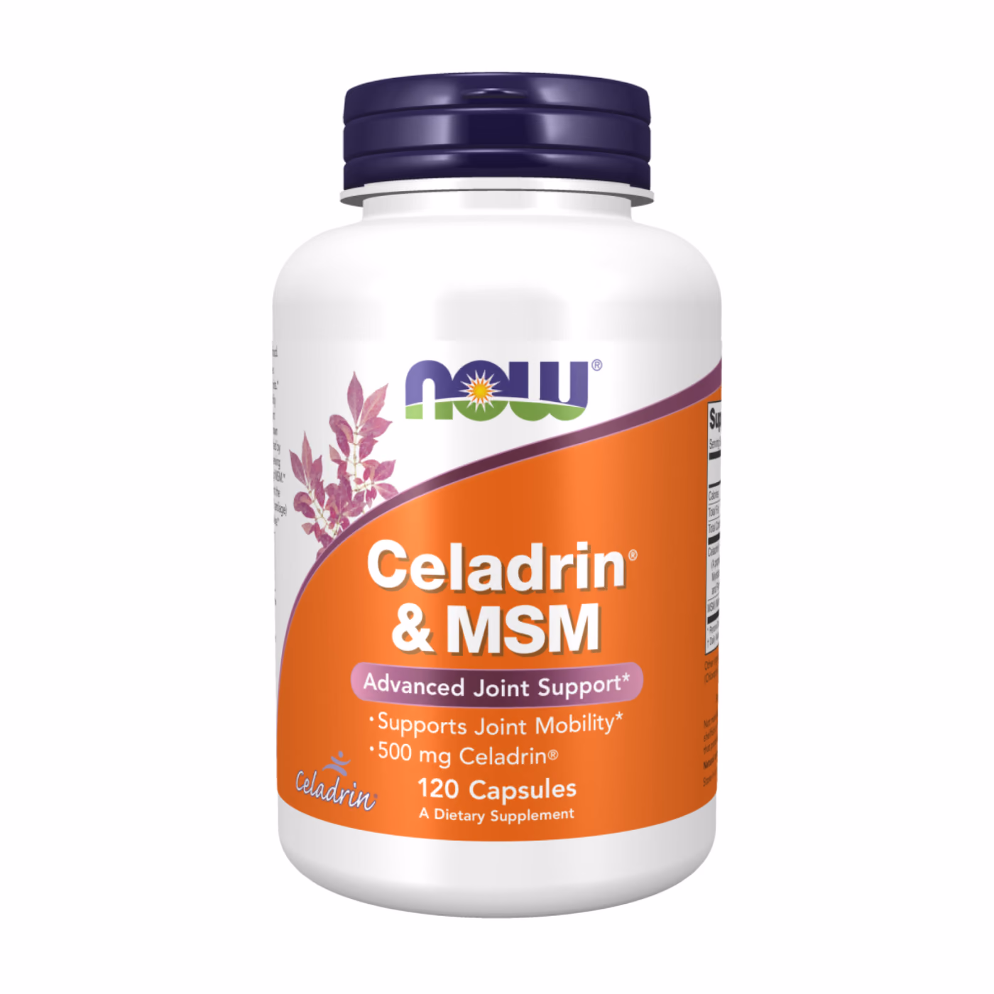 Celadrin & MSM - 120 caps
