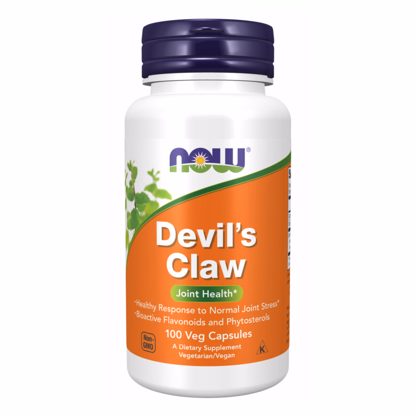Devil's Claw Root - 100 vcaps