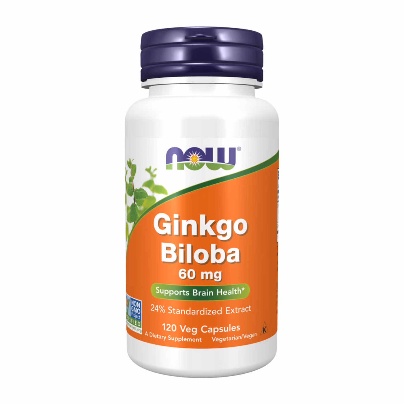 NOW Foods Ginkgo Biloba 60 мг — 120 растительных капсул