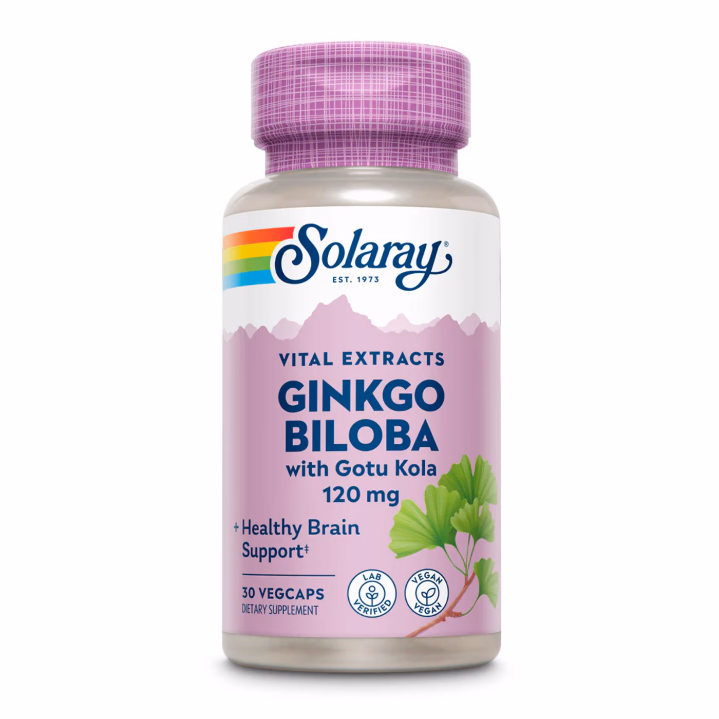 Ginkgo Biloba Extract One 120mg - 30 vcaps